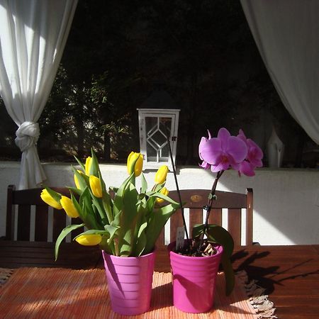 Apartment Villa Holiday II พูลา ภายนอก รูปภาพ